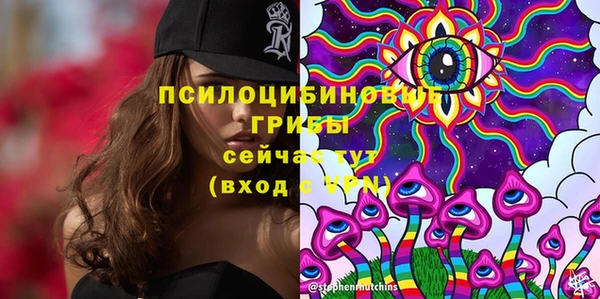 стаф Богородицк