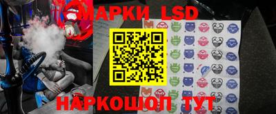 соль ск Новодвинск