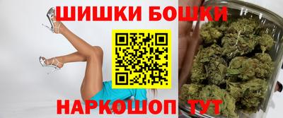 индика Дубна