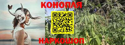 гидропоника Новокубанск