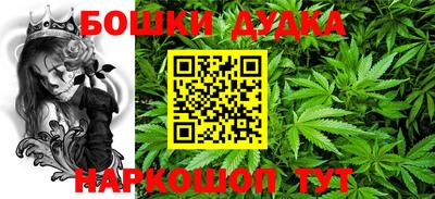индика Дубна