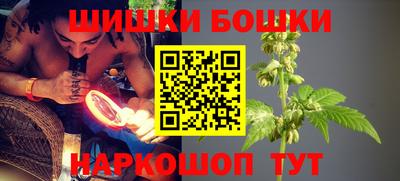 индика Дубна