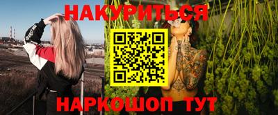 индика Дубна