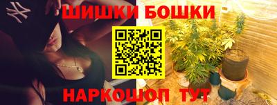 индика Дубна