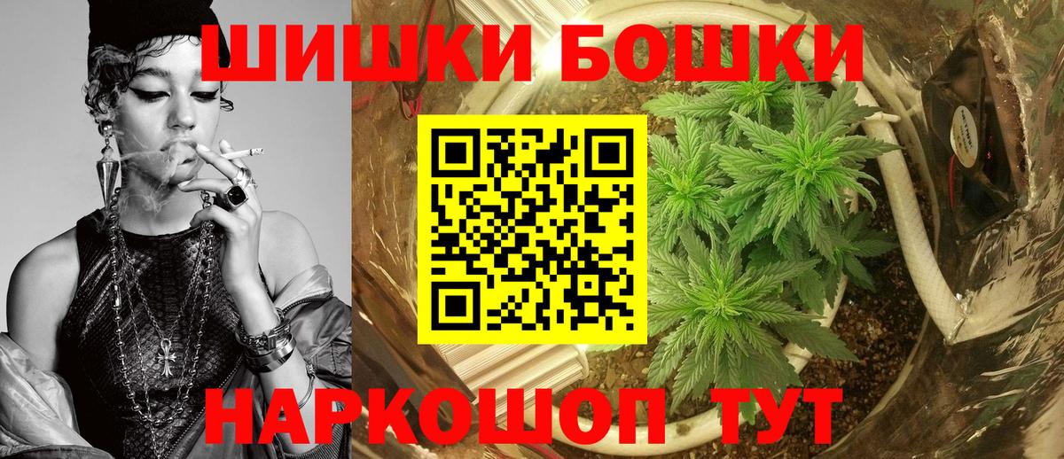 Шишки марихуана планчик  Каннабис план  Бошки марихуана тримм  Конопля тримм  Надым  Вход с VPN 